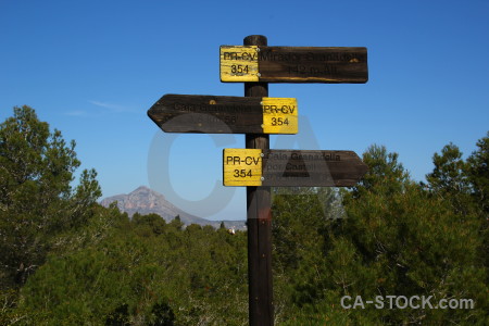 Europe sign javea tree yellow.