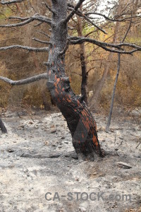 Europe spain ash montgo fire burnt.