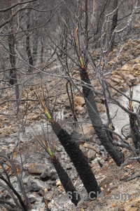 Europe spain burnt ash montgo fire.