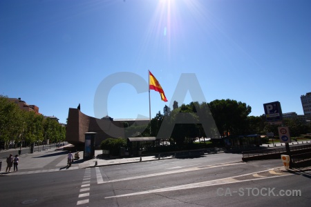 Europe tree madrid road flag.