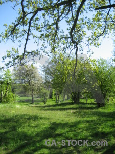 Field green.
