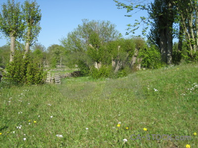 Field green.
