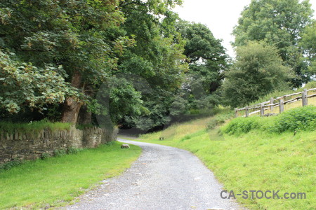 Field green path.