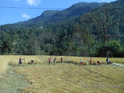 Field mountain nepal cloud trek.