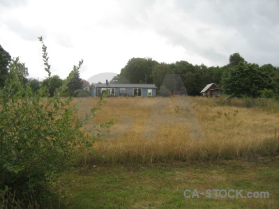 Field white green landscape.