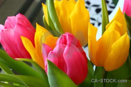 Flower bouquet red pink orange.