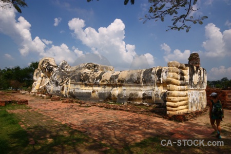 Foot unesco wat lokayasutha tree southeast asia.