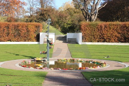 Fountain green.