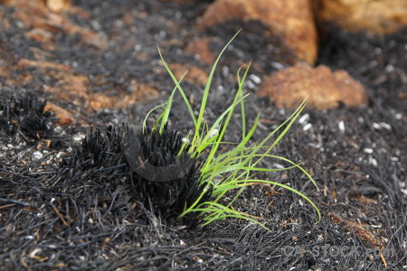 Grass burnt montgo fire europe javea.