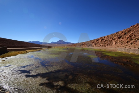 Grass el tatio atacama desert mountain rock.