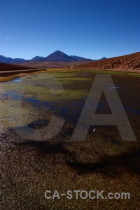 Grass el tatio chile rock altitude.