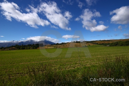 Grass field new zealand cloud landscape.