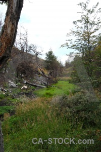 Grass mountain sky trek branch.