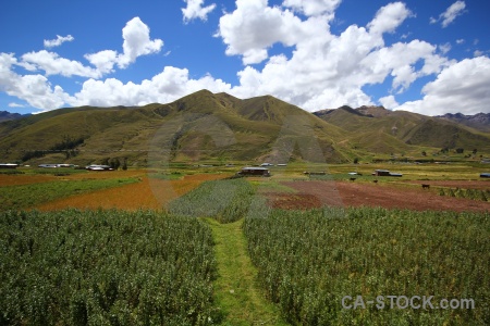 Grass south america crops sky landscape.