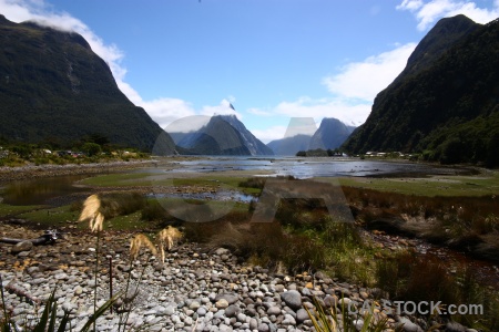 Grass south island fiord sound millford.