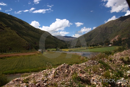 Grass tree landscape water cloud.