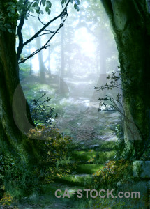 Green backgrounds fantasy premade.