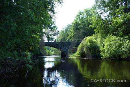 Green building river bridge water.