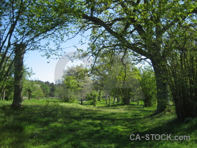 Green field.