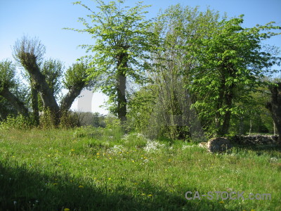 Green field.
