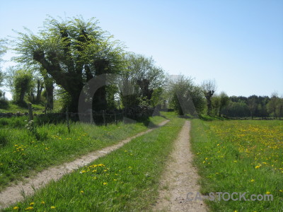 Green field landscape.