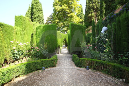 Green hedge la alhambra de granada garden pathway.