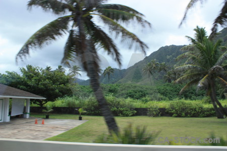 Green mountain.