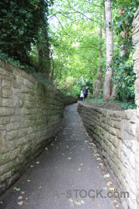 Green path wall.