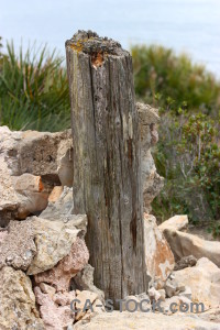 Green post wood texture.