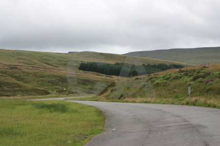 Green road landscape field white.