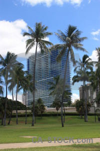 Green skyscraper building blue.