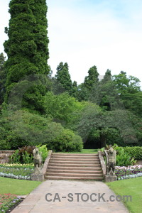 Green stair step white.