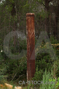 Green texture post wood.