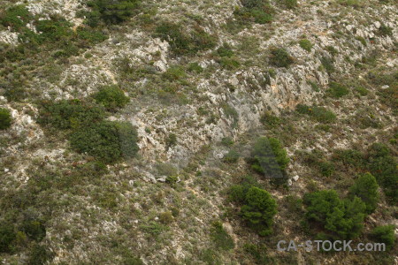 Green texture rock.