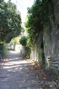 Green wall stair step path.