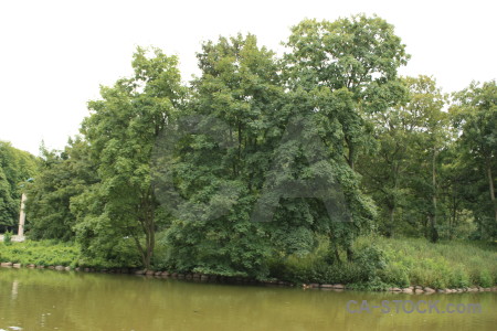 Green water tree white lake.