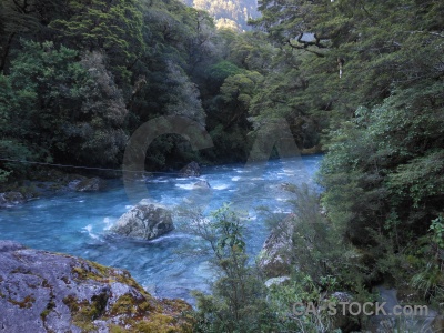 Hollyford river water south island rock moss.