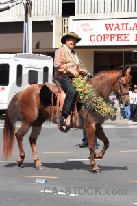 Horse animal model male person.