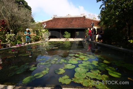 Hue garden vietnam lily asia.