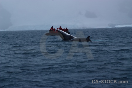 Ice dinghy cloud penola strait water.