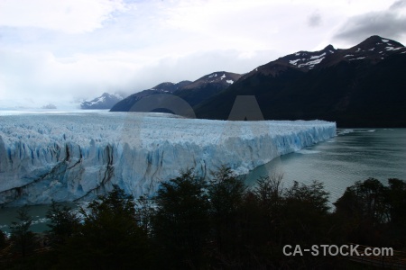 Ice tree lake argentino mountain sky.