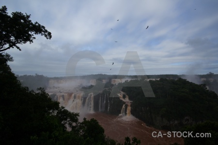 Iguazu river tree brazil sky iguazu falls.