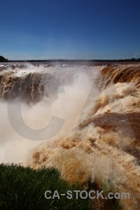 Iguazu river tree spray iguazu falls iguassu.