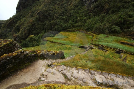 Inca altitude andes south america grass.