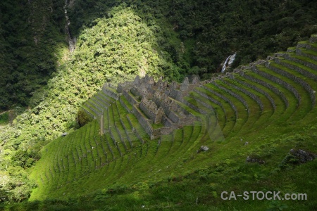 Inca grass winay wayna altitude peru.