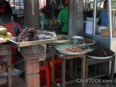 Insect cambodia market animal fried.