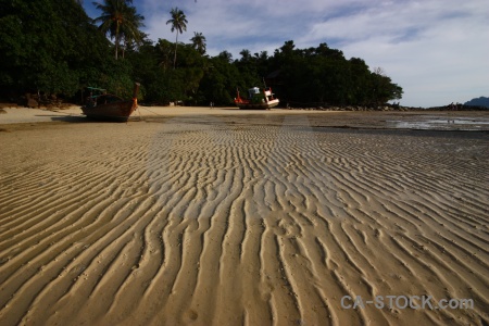 Island tree beach cloud ripple.