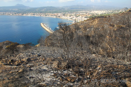 Javea ash spain tree montgo fire.