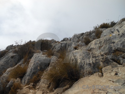 Javea cloud rock montgo plant.