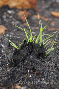 Javea europe burnt ash spain.